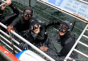 Sky to Sea: Georgina Harwood's once in a lifetime experience